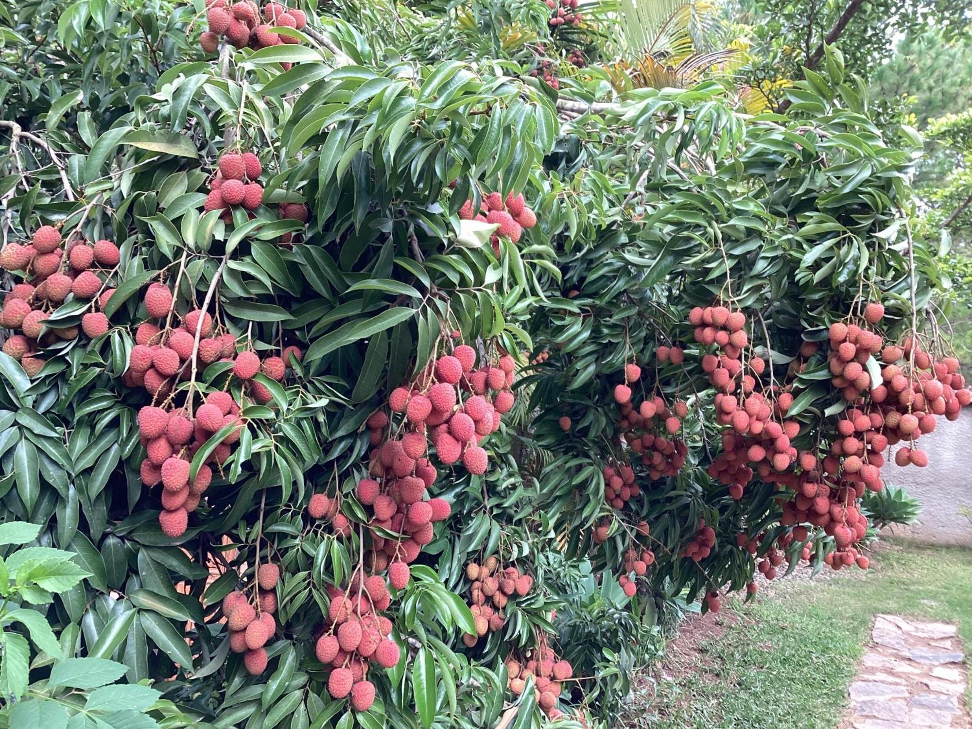 Villa Chezsoa, Antananarivo Eksteriør bilde